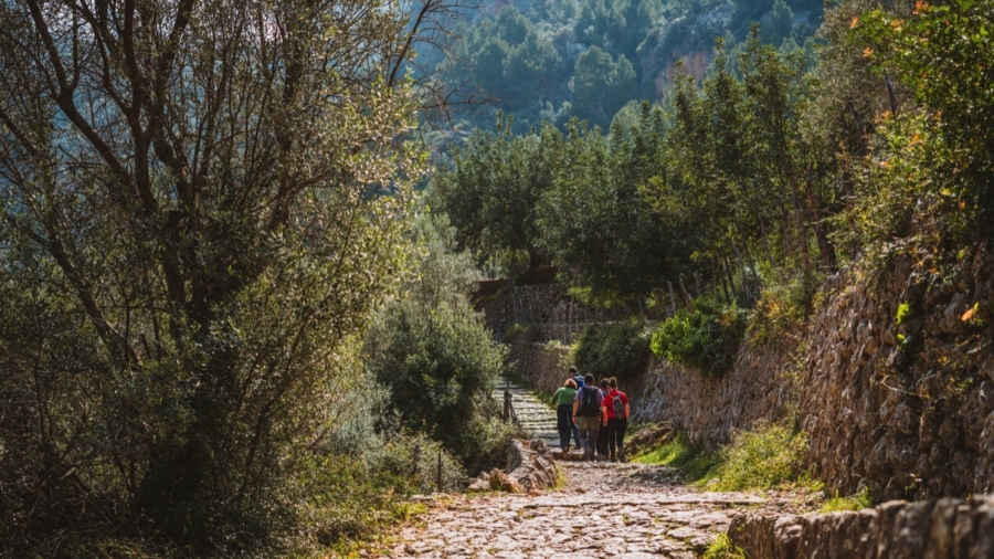 barranc-biniaraix-22